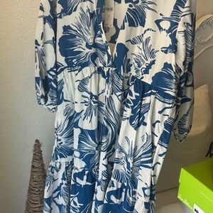 Anthropologie Blue and White Long Sleeve Dress